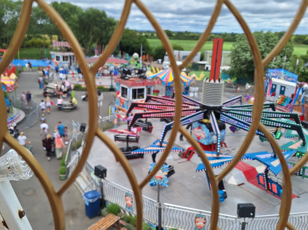 The Web Adventure Park-Wigginton必去景点