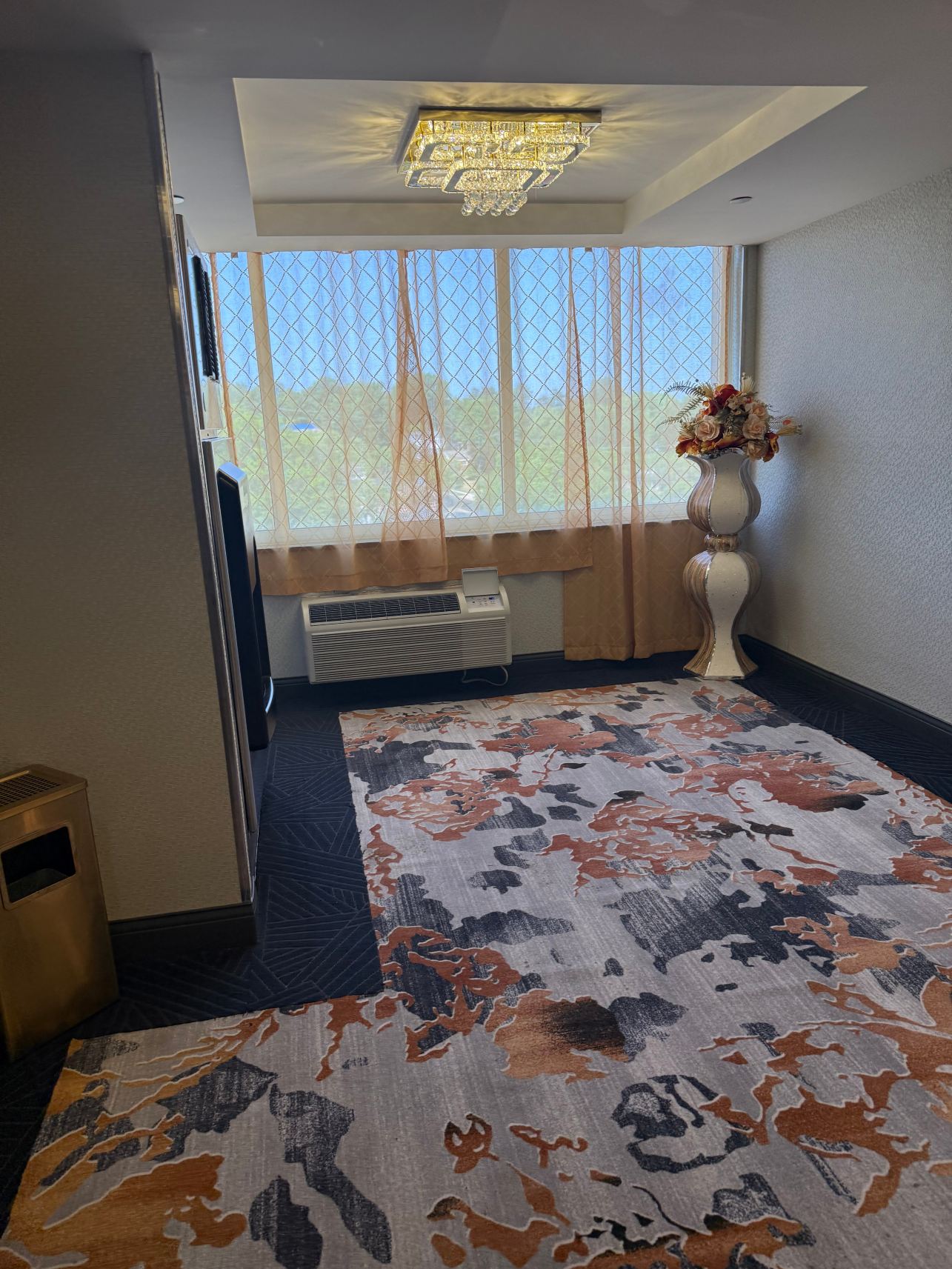华盛顿北梅特罗珀恩茨酒店-旅行者