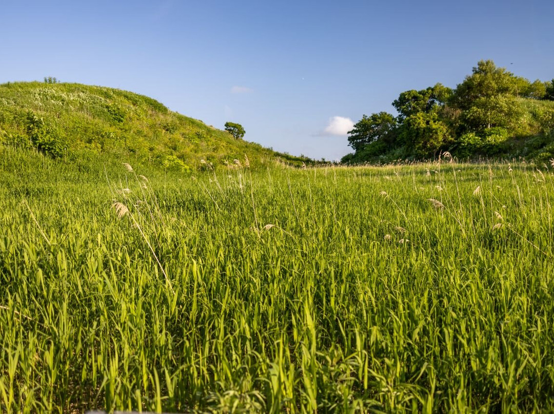 Hokkaido Soya Fureai Park Auto Campsite