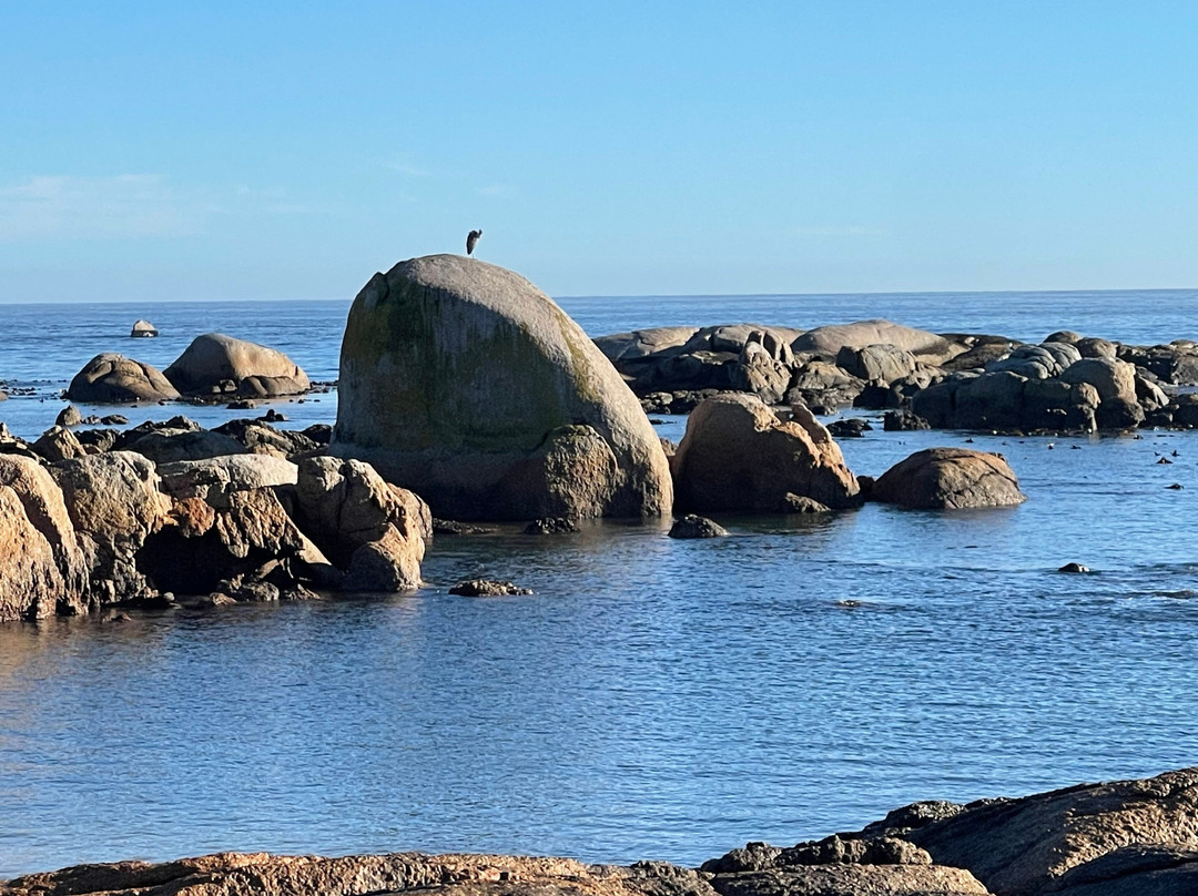 Paternoster Beach-Paternoster必去景点