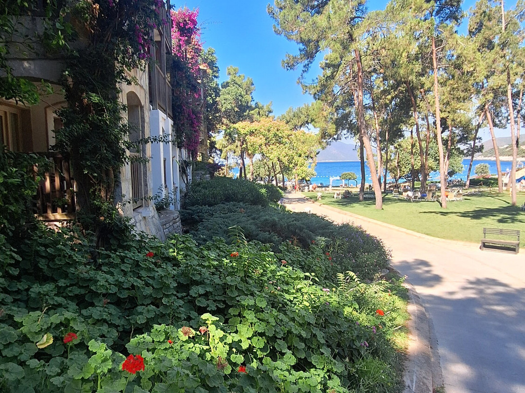 博德鲁姆欢乐迈格海洋花园酒店主图