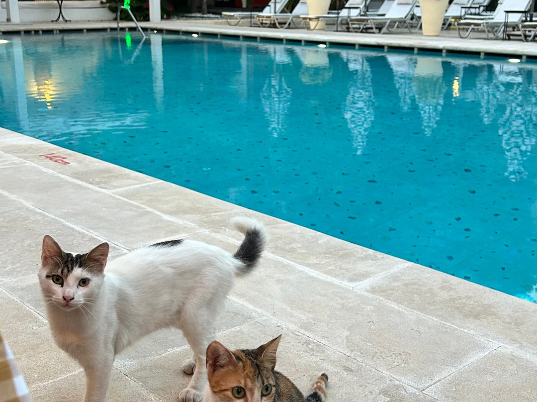 Ölüdeniz Blu Luxury Unique Hotel - Adults-Only主图