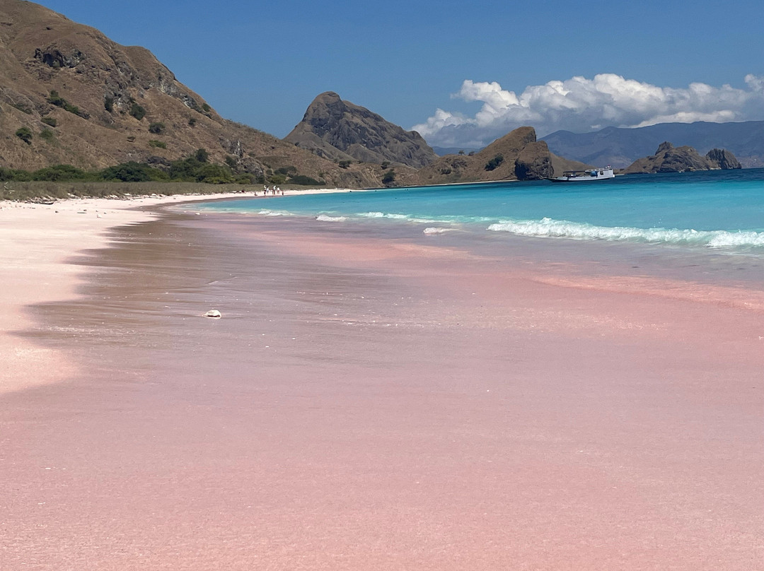 Pink Beach-科莫多必去景点