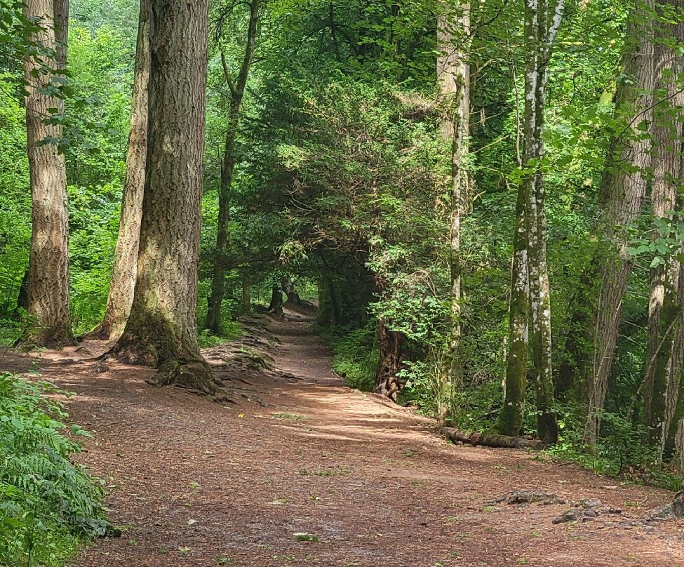 The Hermitage-Dunkeld必去景点