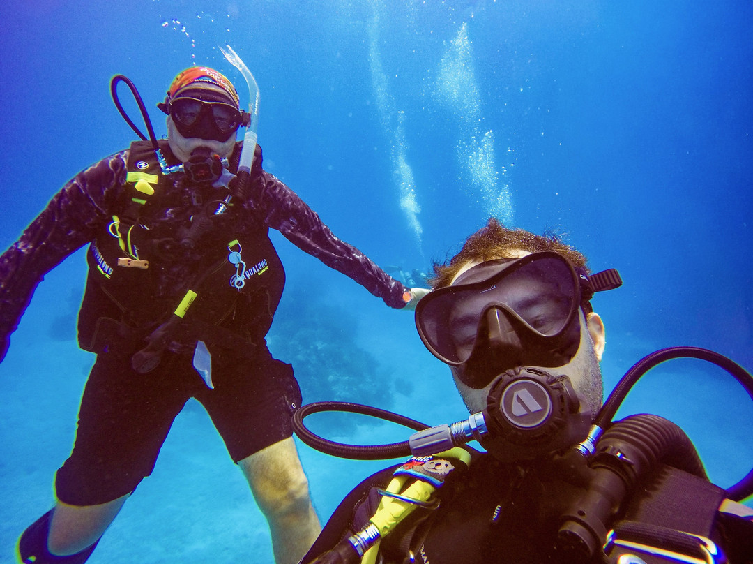 Dive Bermuda at Somerset-Sandys Parish必去景点