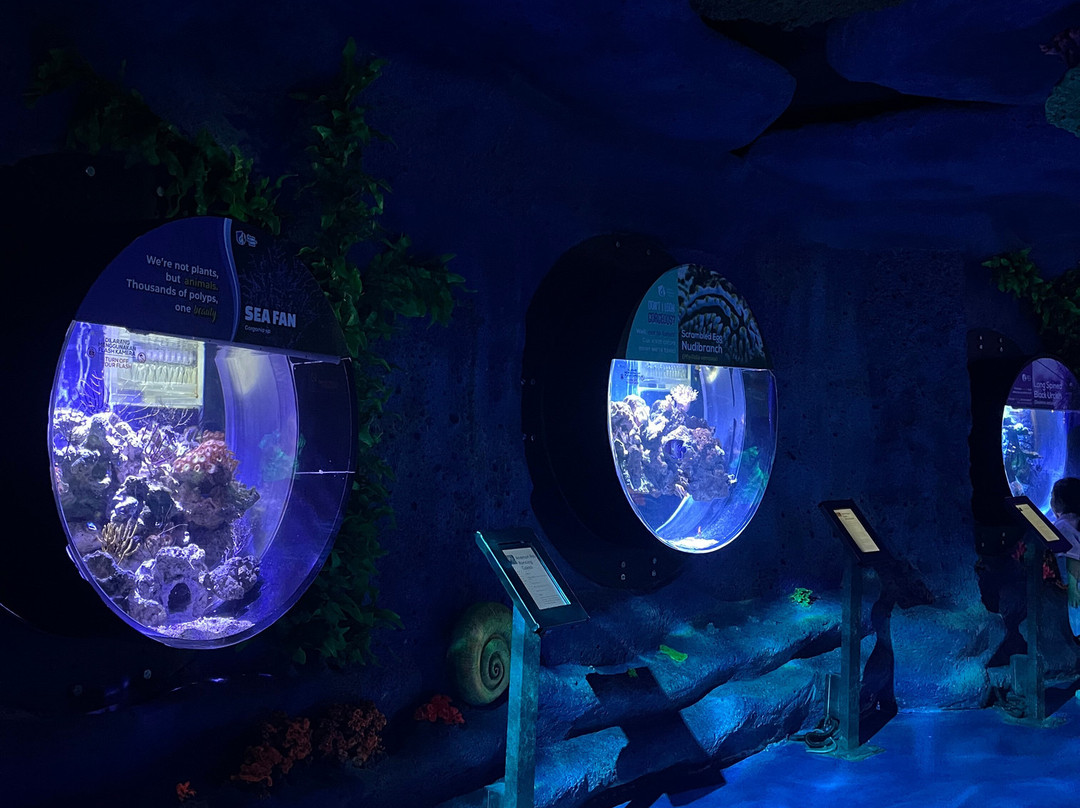 Jakarta Aquarium & Safari-雅加达必去景点