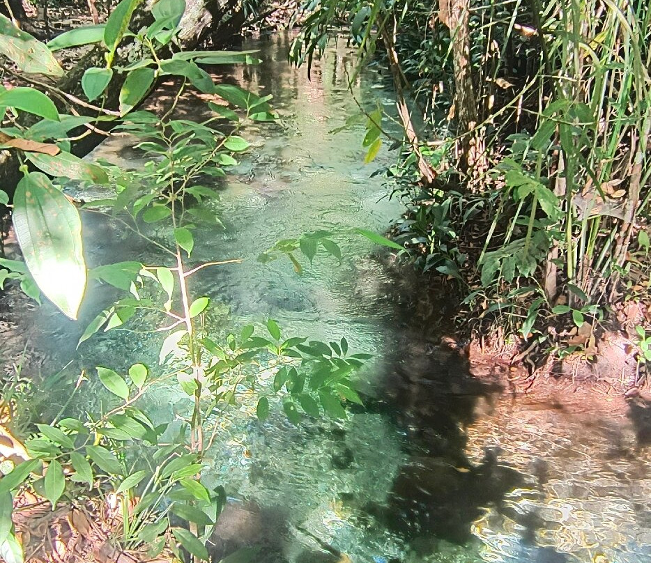 Cachoeira do Formiga-Mateiros必去景点