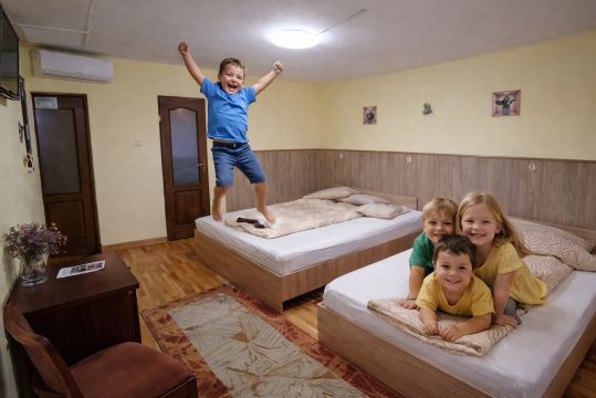 Casa Tudor Turda-客卧