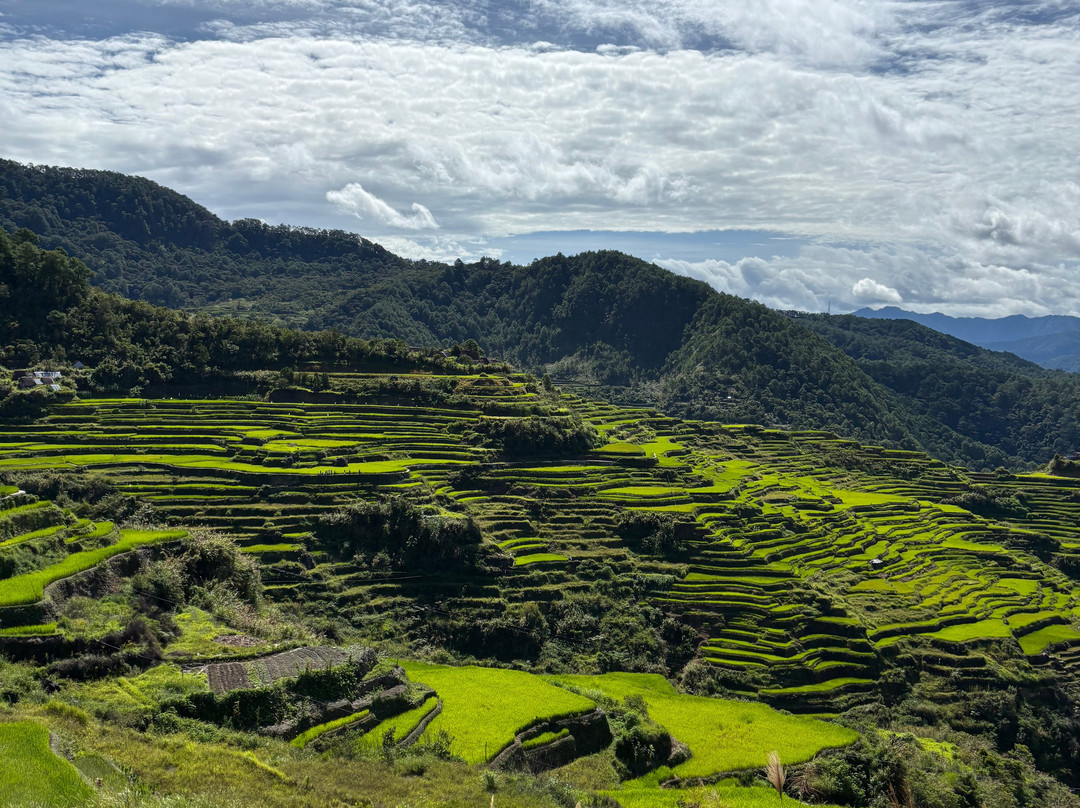Maligcong Rice Terraces-Bontoc必去景点