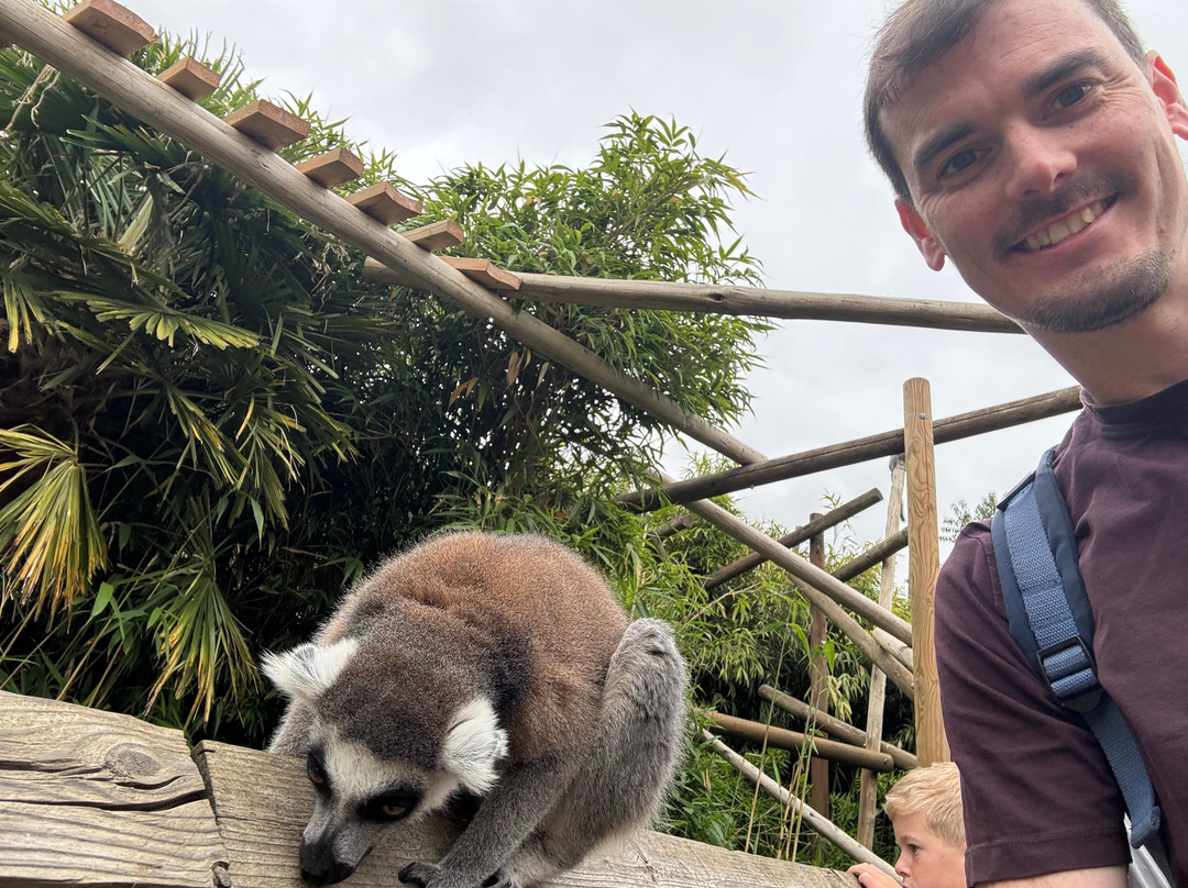 Colchester Zoo-科尔切斯特必去景点