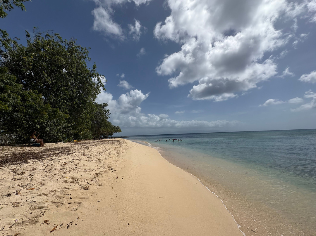 Anse du Souffleur-Port-Louis必去景点