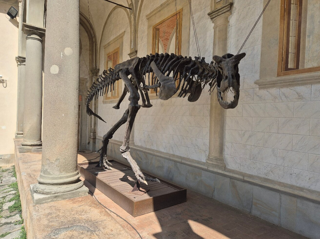 Museo di Storia Naturale - Universita di Pisa-Calci必去景点