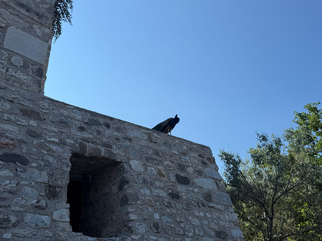 Bodrum Castle-博德鲁姆必去景点