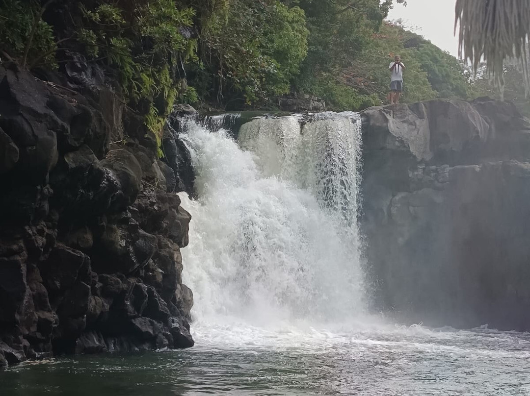 Sud Sauvage Adventure-Surinam必去景点