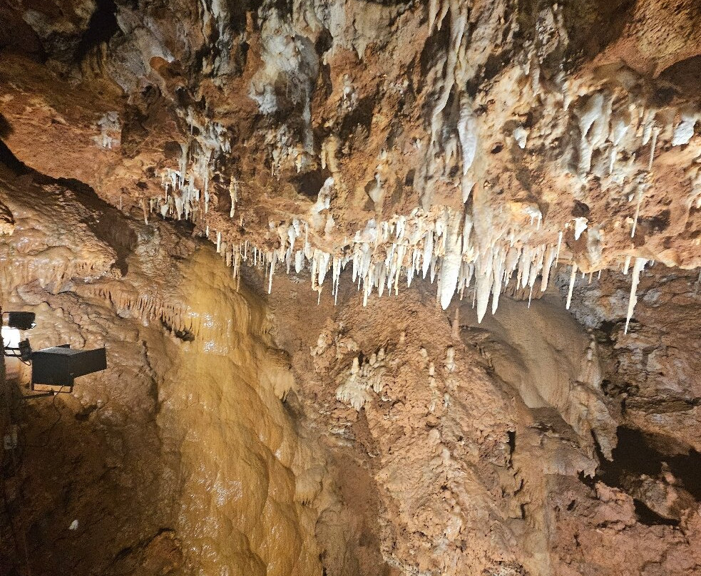 Grotte de Saint-Cézaire-Saint-Cezaire-sur-Siagne必去景点