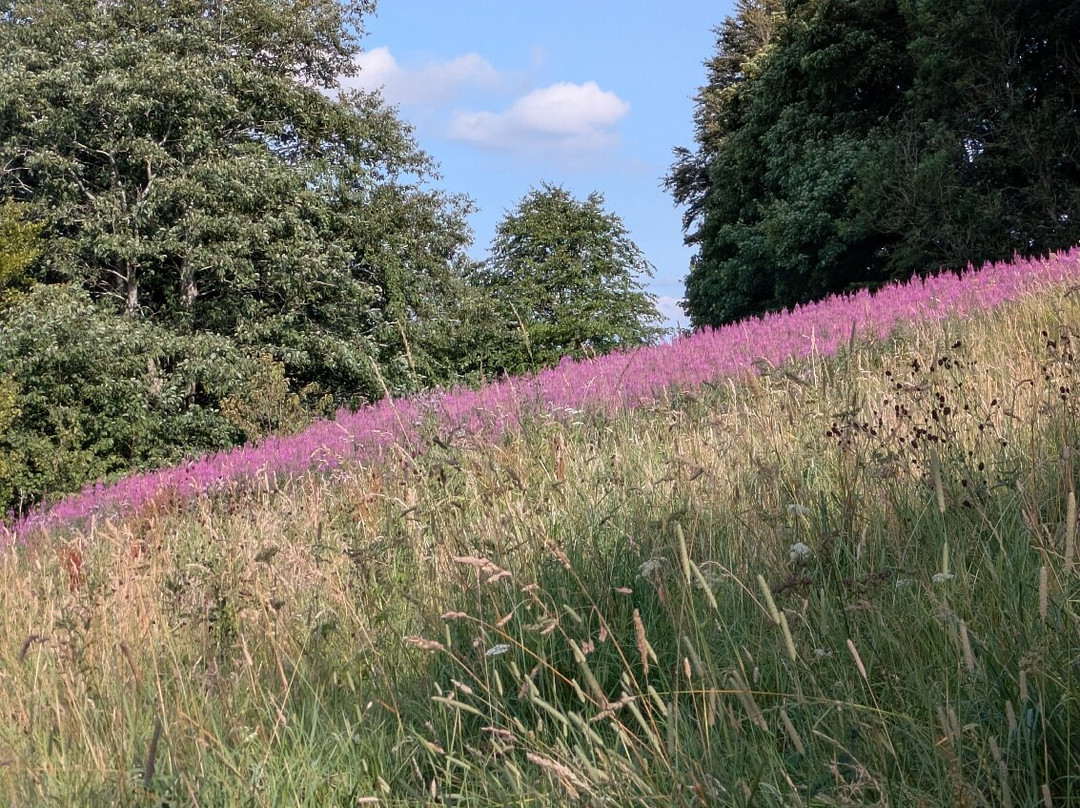 Poole's Cavern & Buxton Country Park-巴克斯顿必去景点