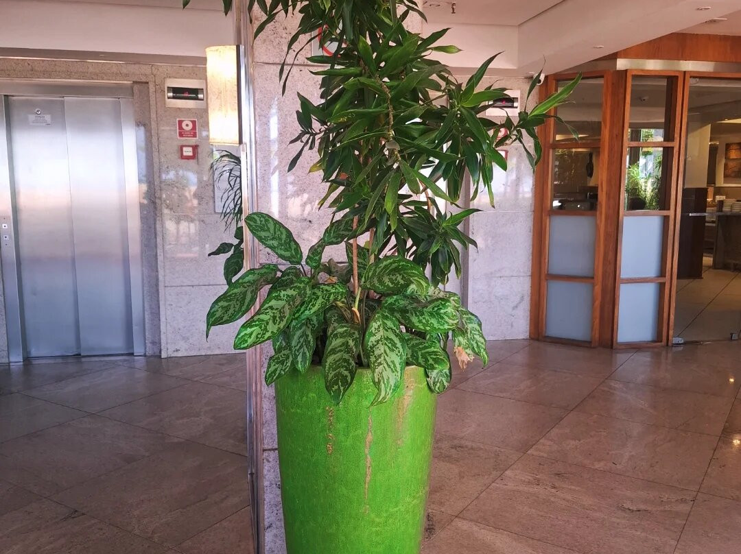 麦格纳普拉亚酒店主图