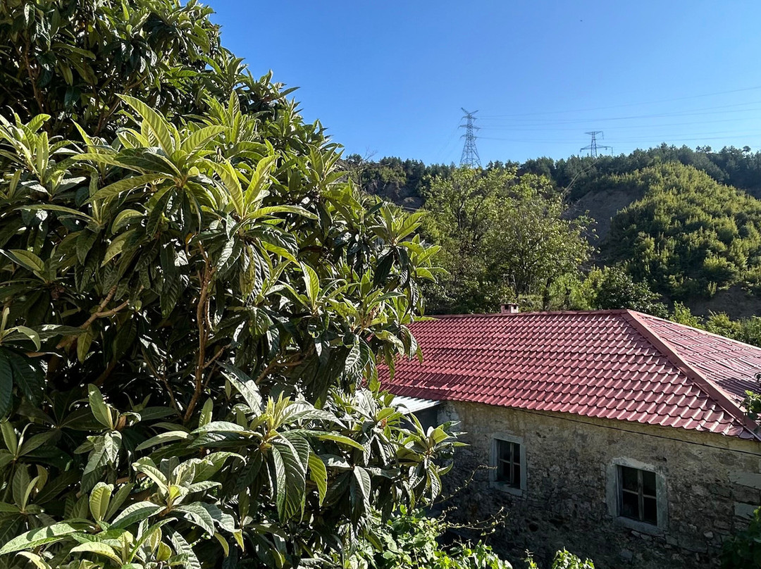 Domus Komanesse - Guest Houses