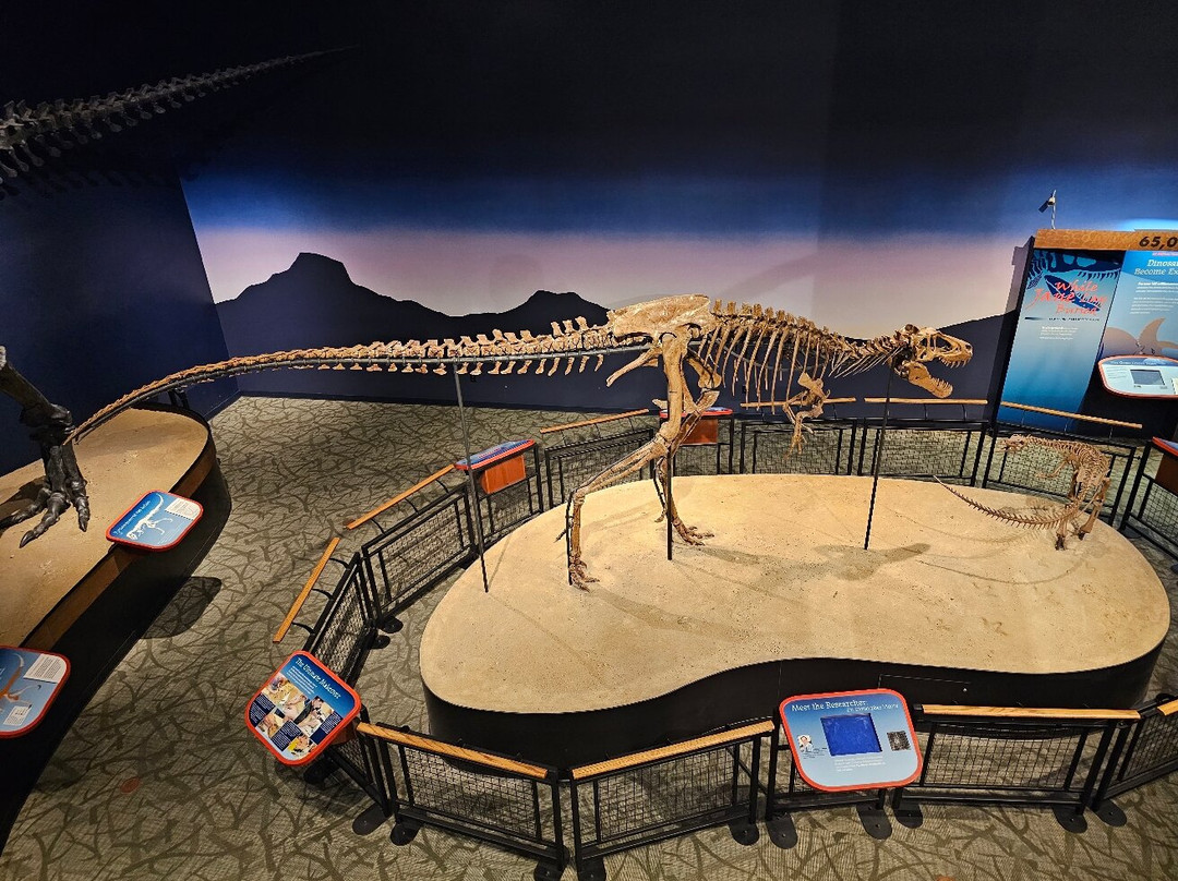 Burpee Museum of Natural History-罗克福德必去景点