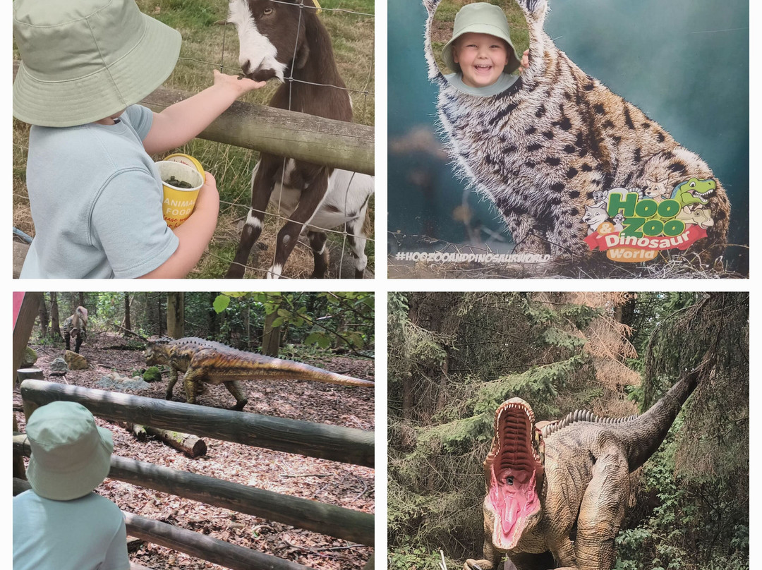 Hoo Zoo And Dinosaur World-特尔福德必去景点