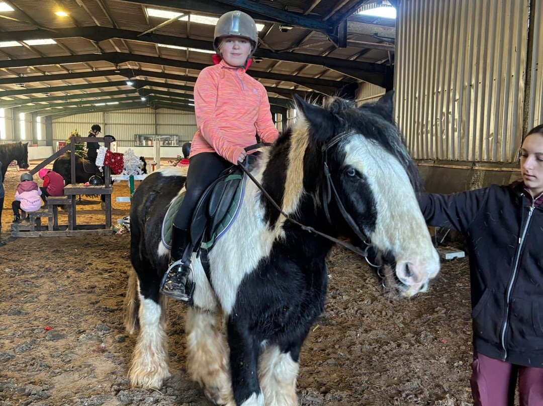 Orchard Farm Equestrian-斯凯格内斯必去景点