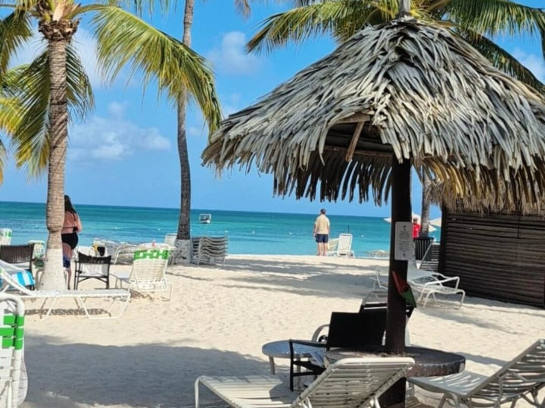 Palm Beach-棕榈/鹰海滩必去景点