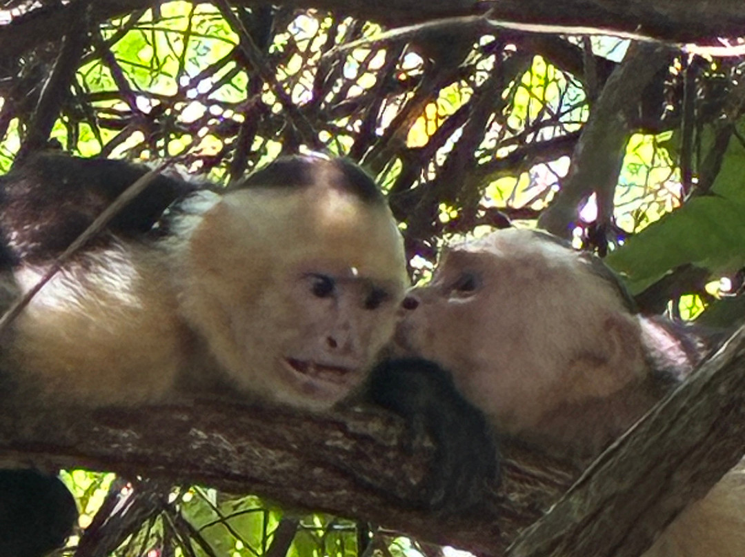 Manuel Antonio National Park-哥斯达黎加安东尼奥国家公园必去景点