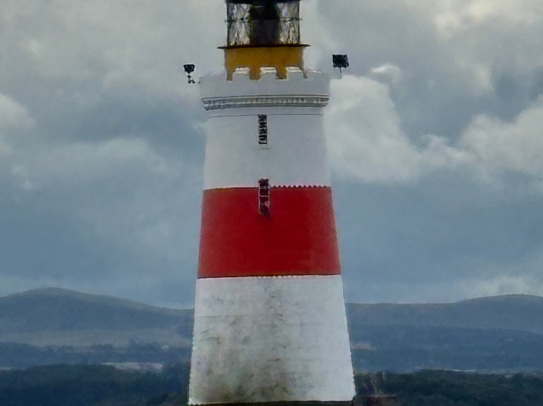 Forth Sea Safaris-Burntisland必去景点
