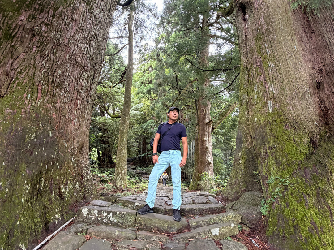 Kumano Nachi Taisha-那智胜浦町必去景点