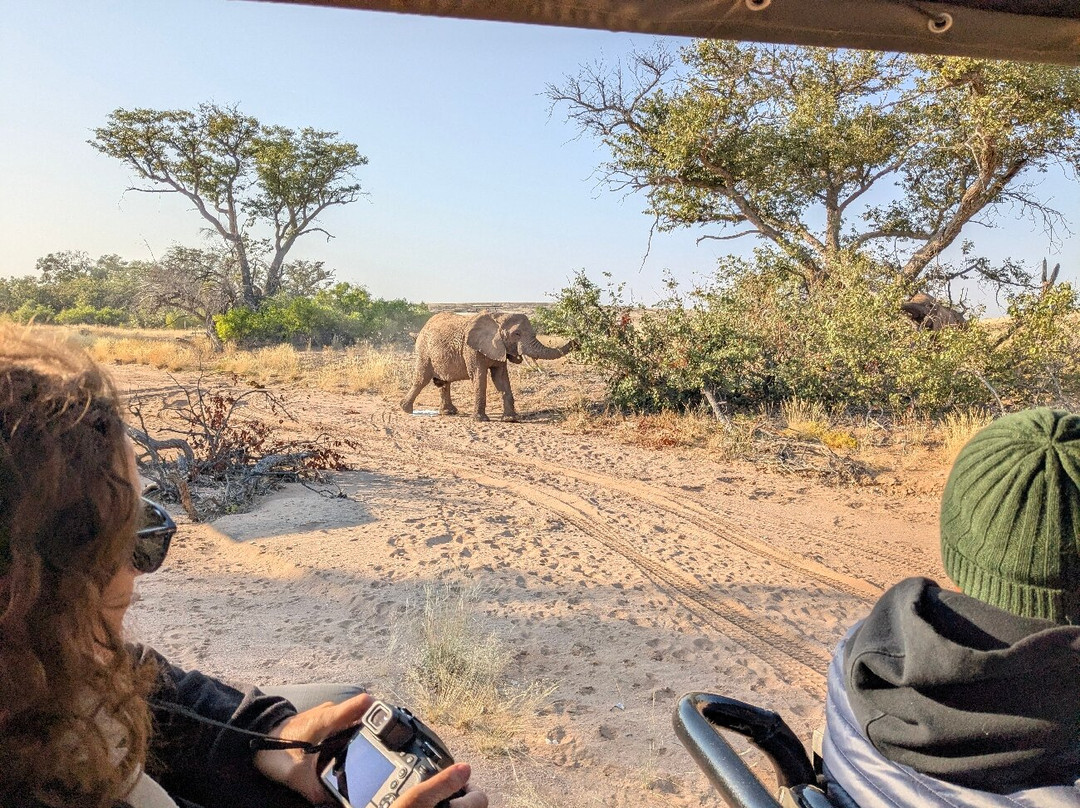 Twyfelfontein Elephant Drives-Palmwag必去景点