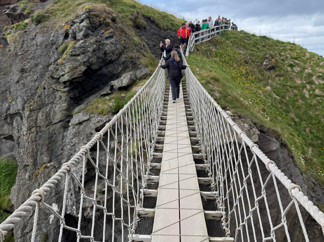Executive Tours Ireland-利默里克必去景点