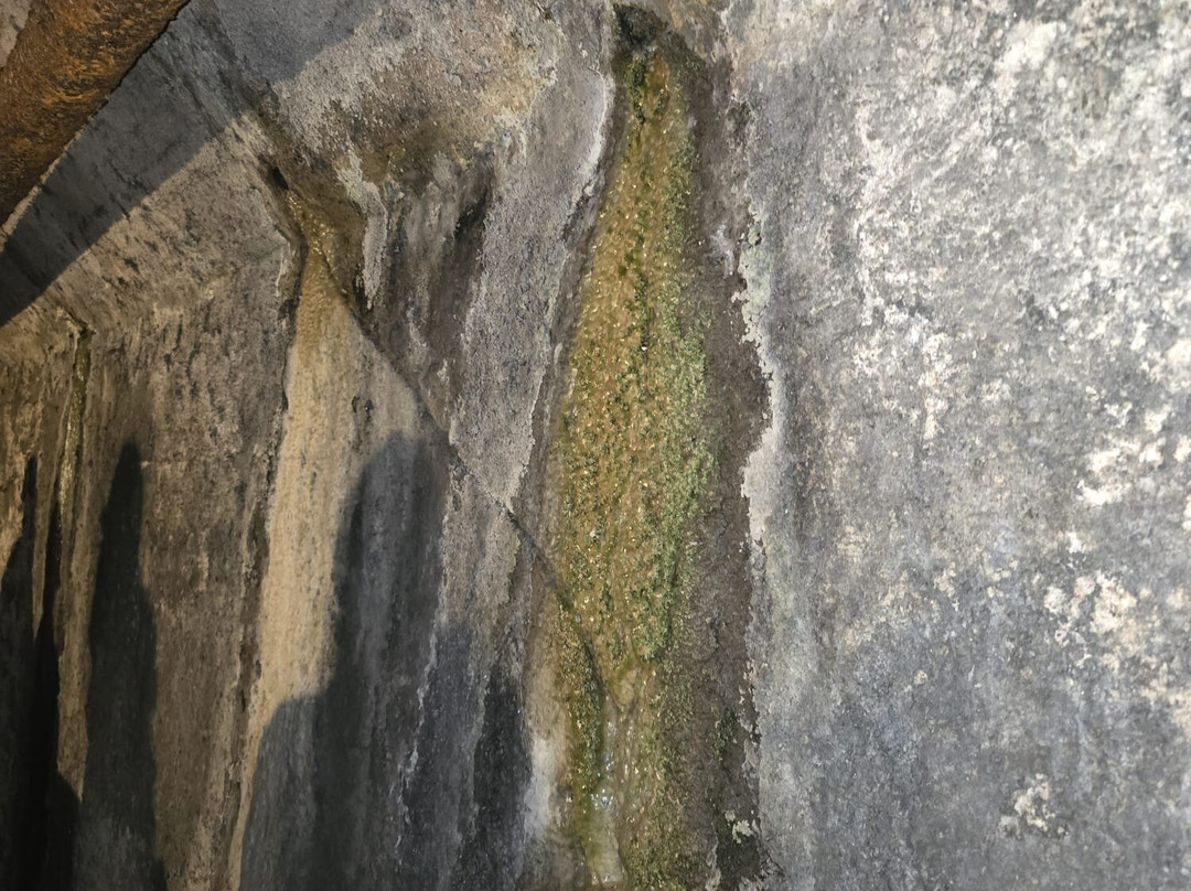 Museo Mines de Cercs-Cercs必去景点