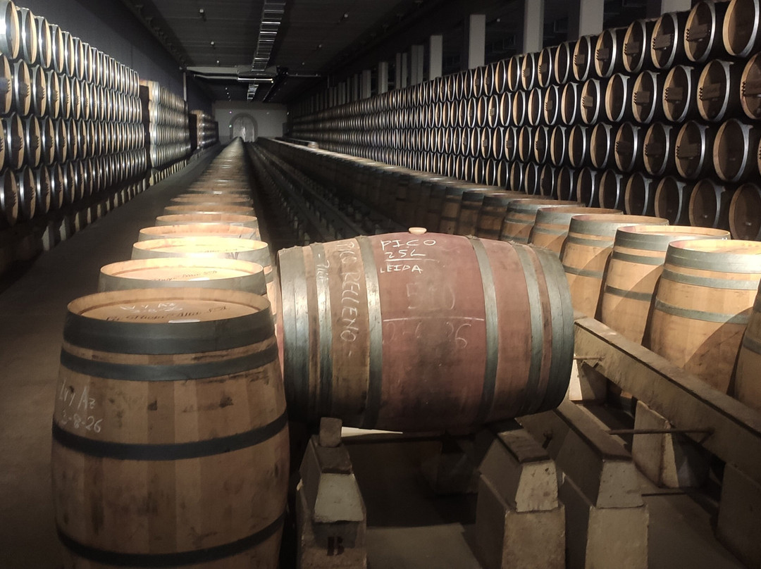 Bodega La Rioja Alta S.A.-哈罗必去景点