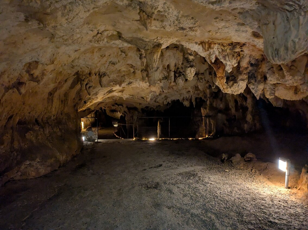 Grotte du Pech-Merle-Cabrerets必去景点