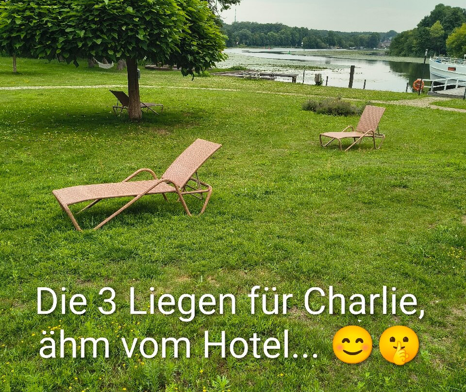 Das SCHMÖCKWITZ主图