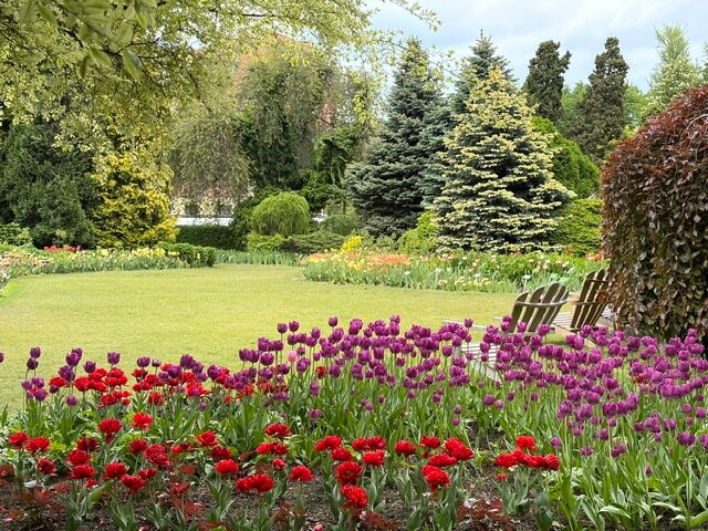 Botanical Garden of the University of Wrocław-弗罗茨瓦夫必去景点