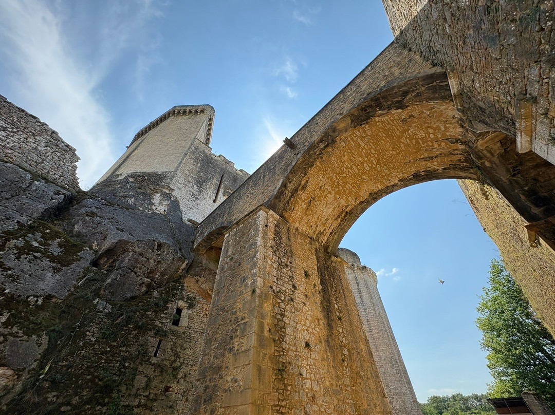 Château de Bonaguil-Saint-Front-sur-Lemance必去景点