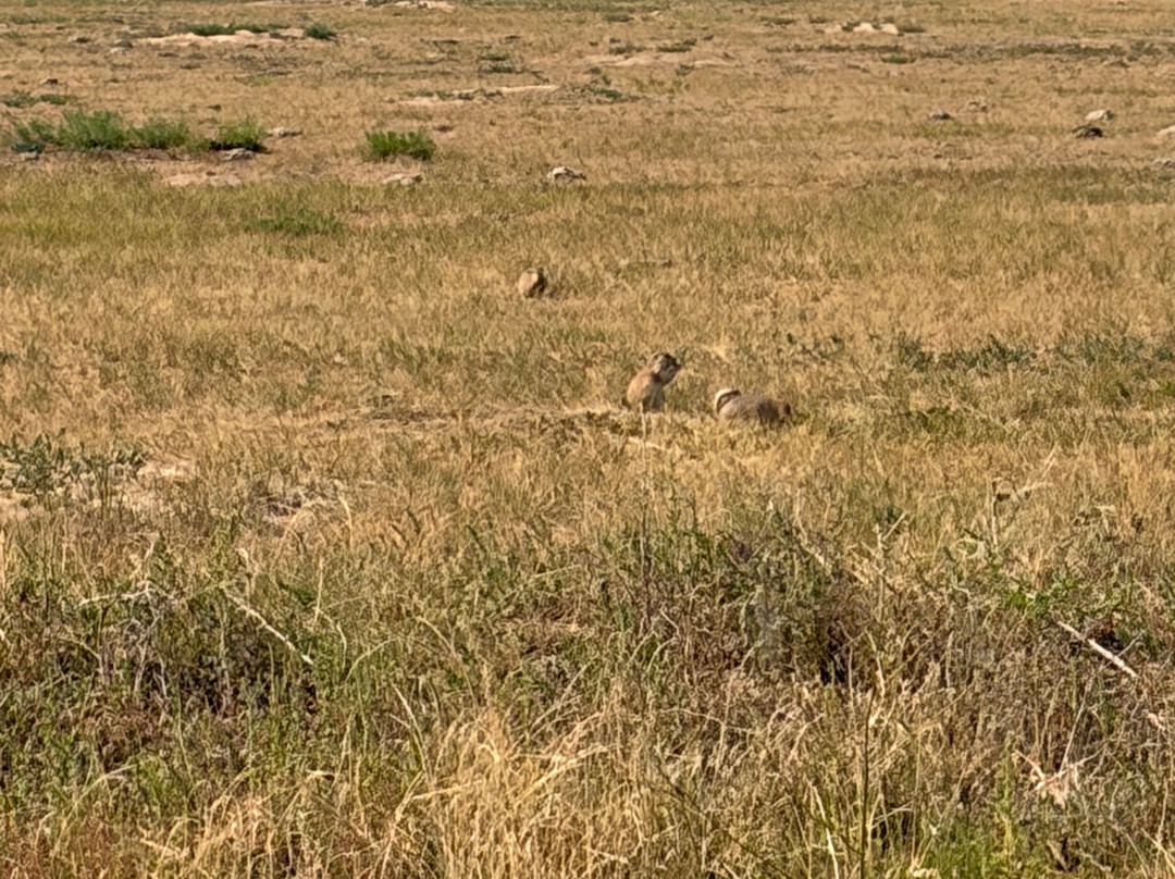 Rocky Mountain Arsenal National Wildlife Refuge-Commerce City必去景点