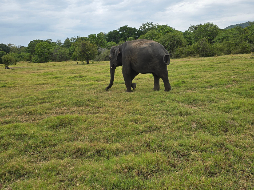 LK Tour Lanka-科伦坡必去景点