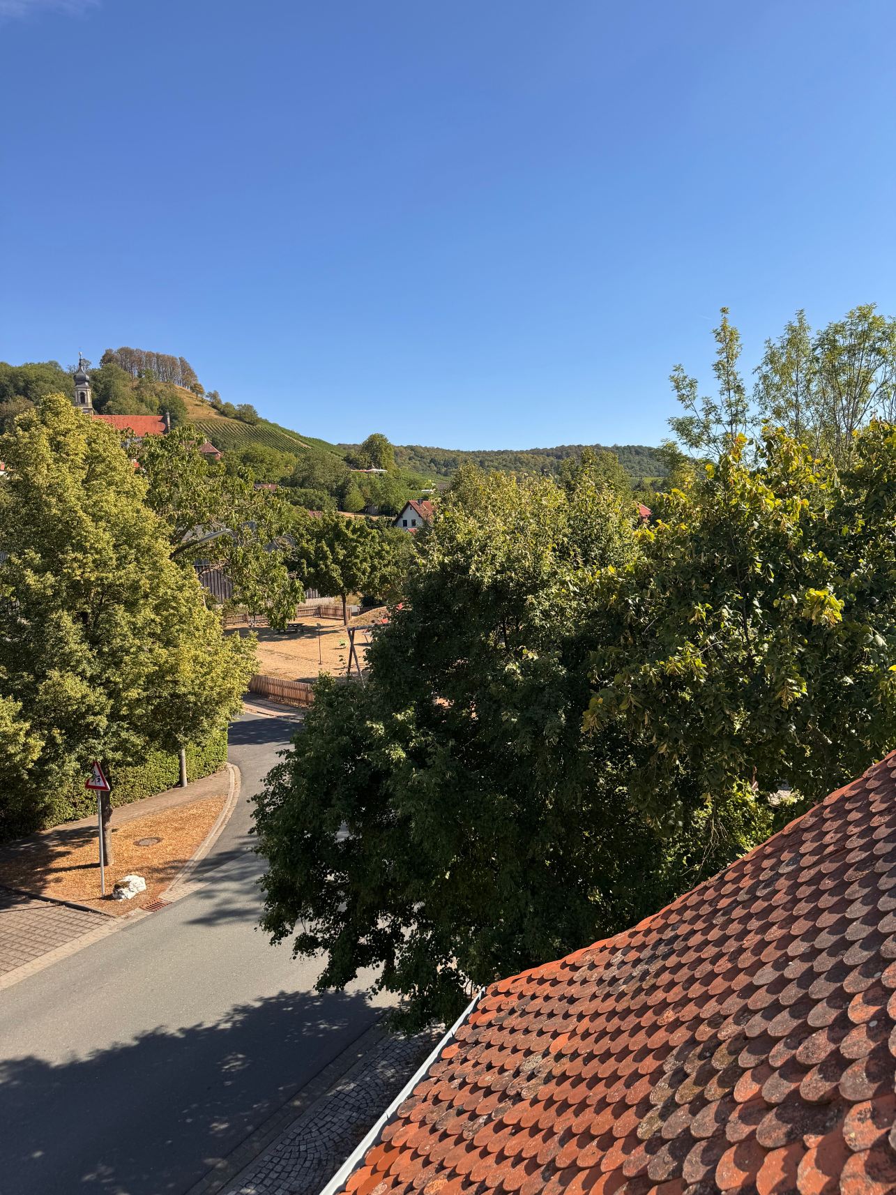 Gasthaus Zum Schwan-旅行者