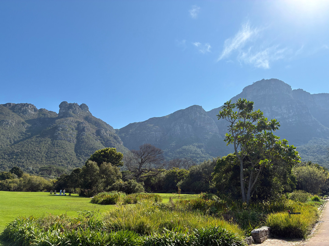 康斯坦博西国家植物园-Newlands必去景点
