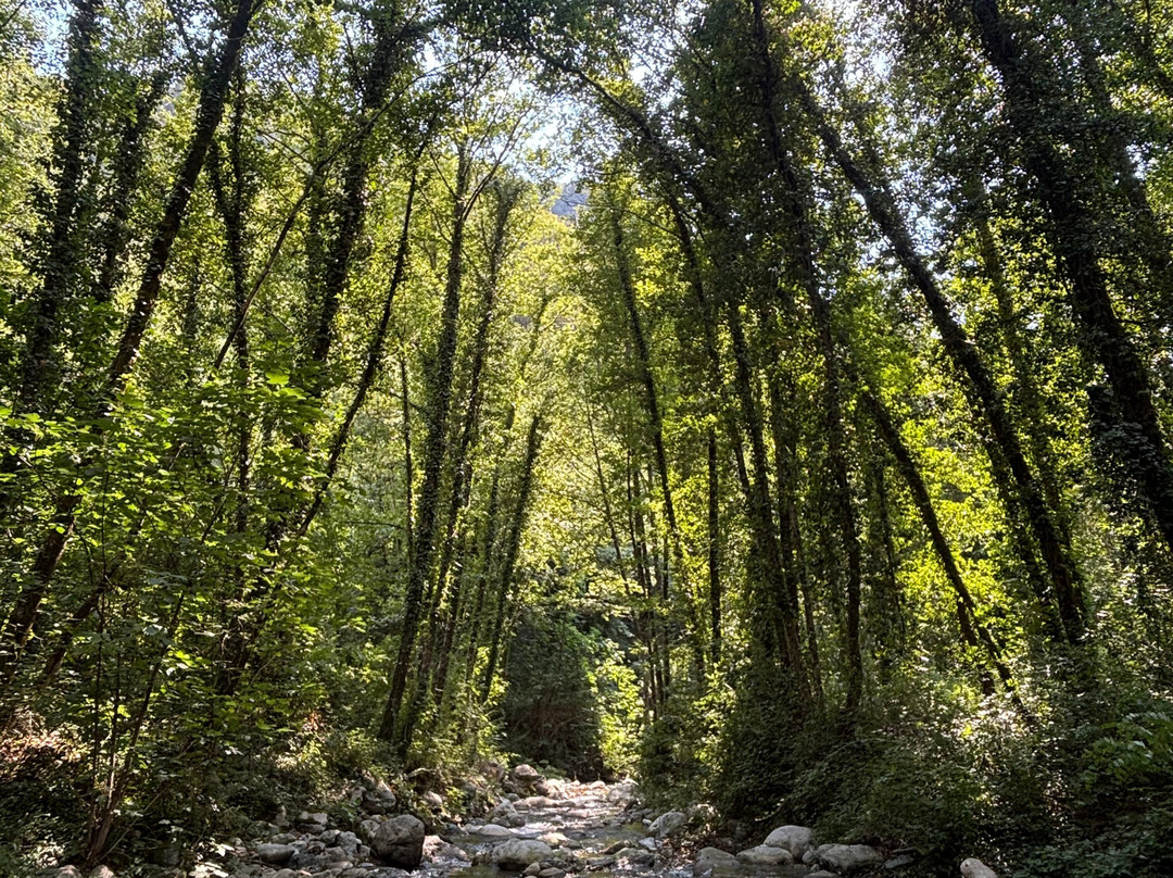 River Trekking Experience-Papasidero必去景点