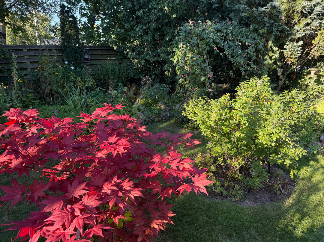Klegod酒店住宿-B&B Villa Filsø