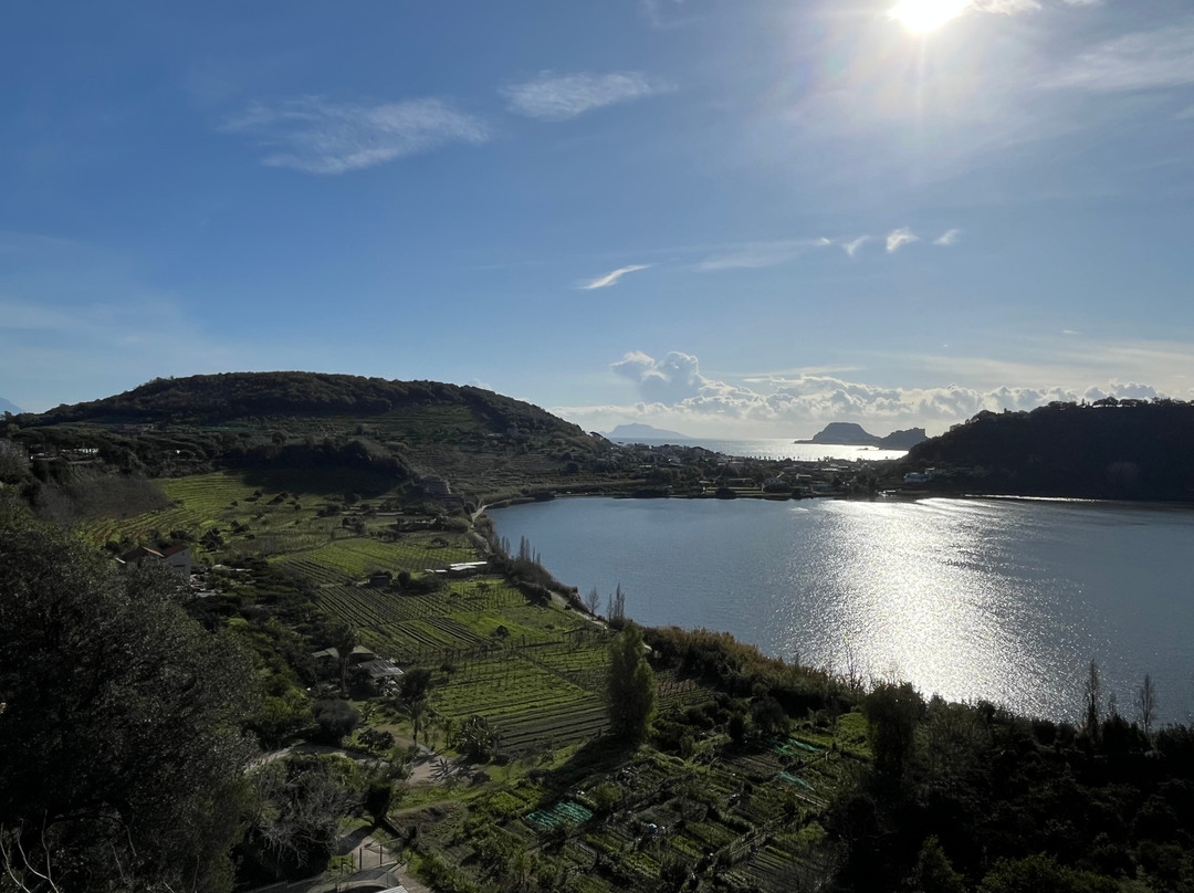 Lago d'Averno-波佐利必去景点