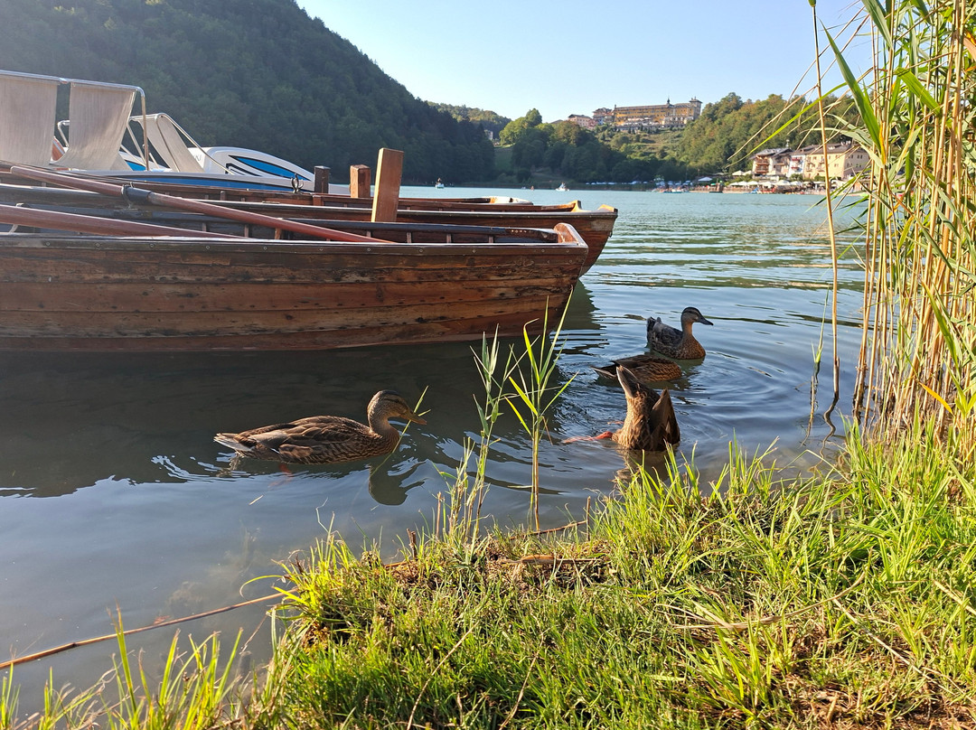 Lago di Lavarone-Lavarone必去景点