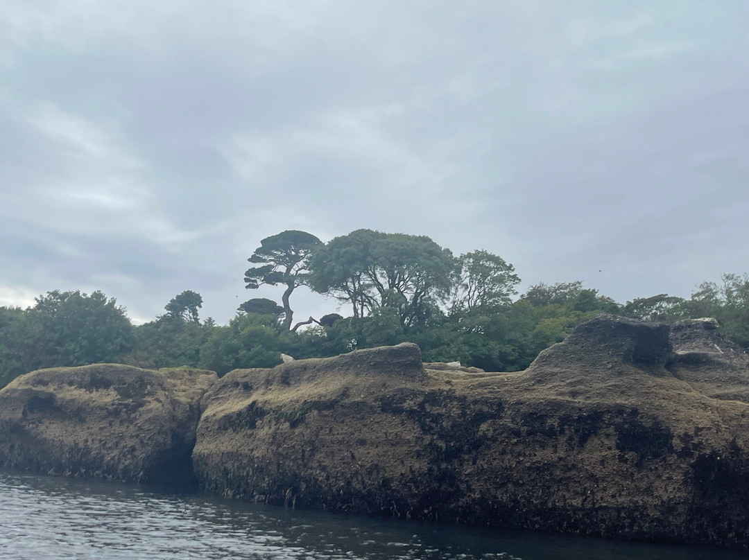 Dunmore Adventure-Dunmore East必去景点