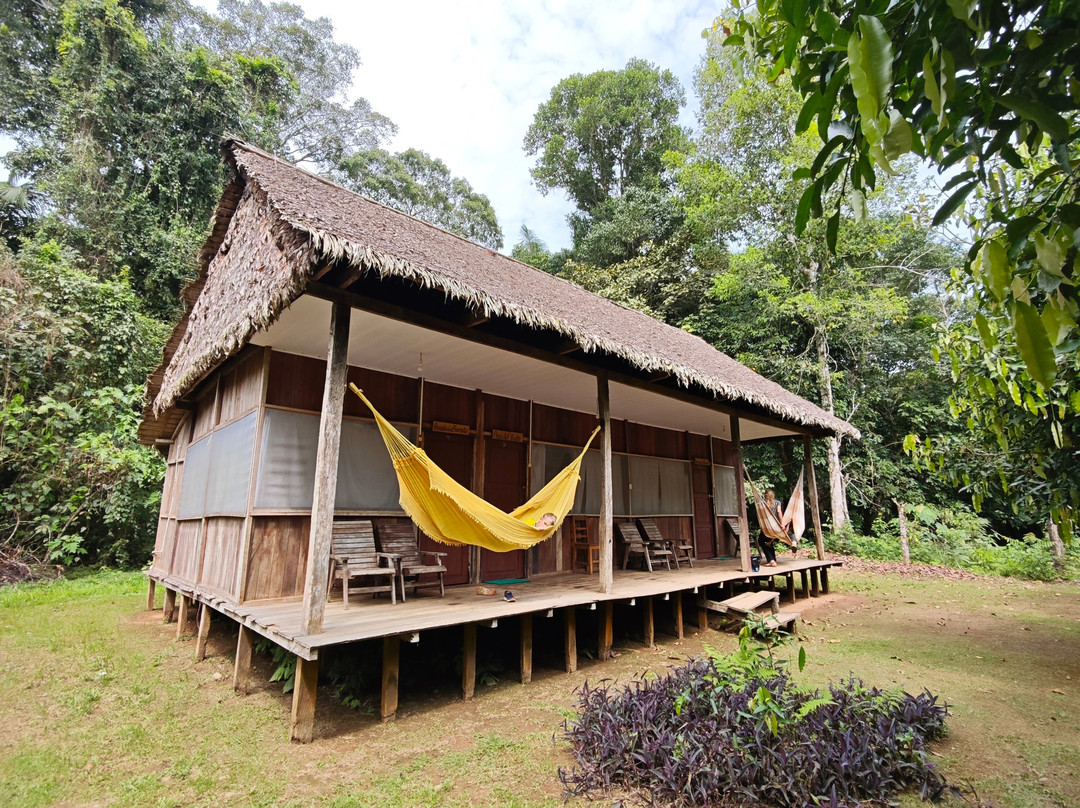 Bala Tours & Ecolodges-Rurrenabaque必去景点