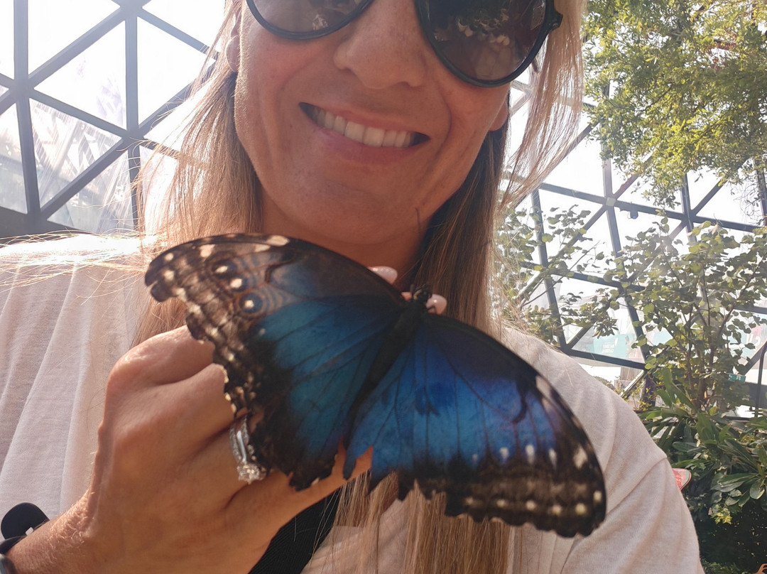The Butterfly Gardens Abu Dhabi-阿布扎比必去景点