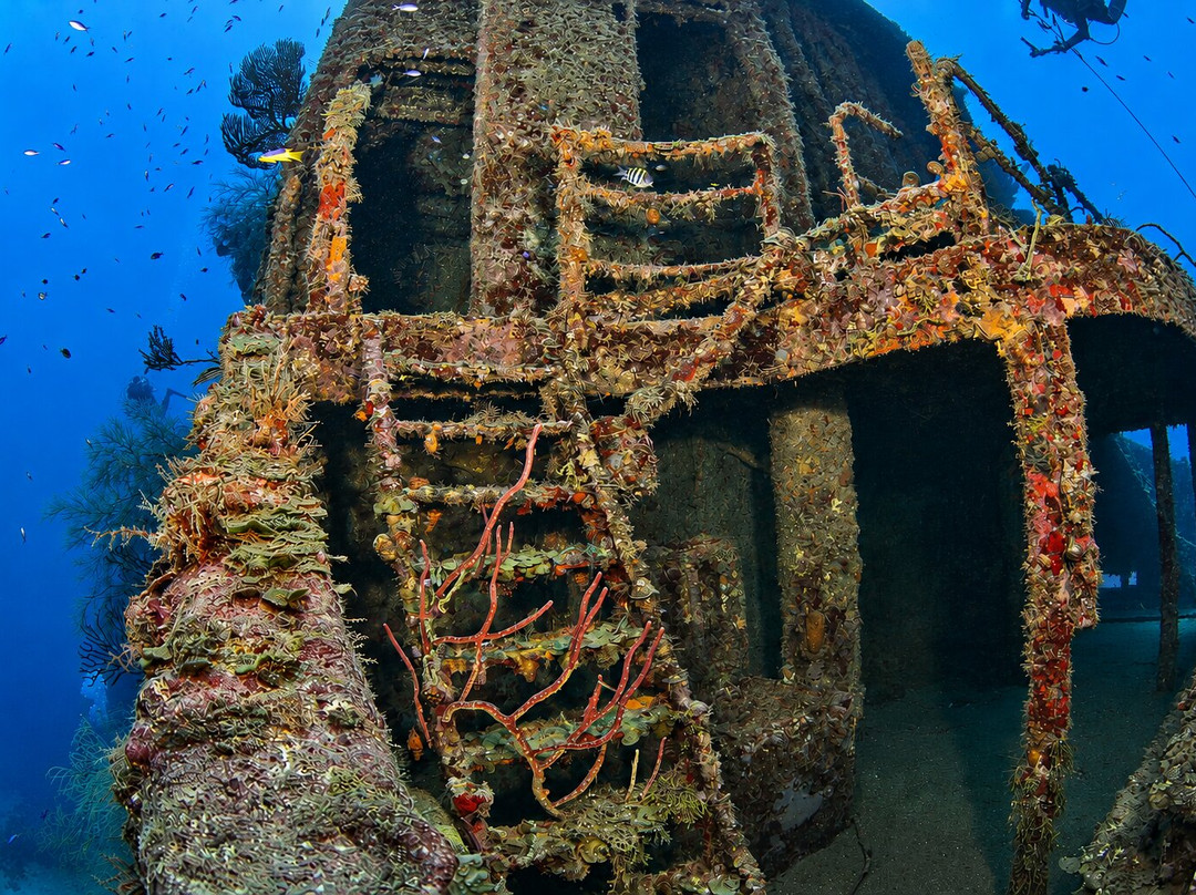 Aquanauts Grenada-True Blue必去景点