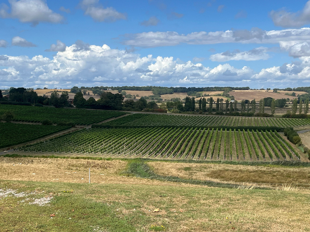 Charles Palmer Vineyards-Winchelsea必去景点